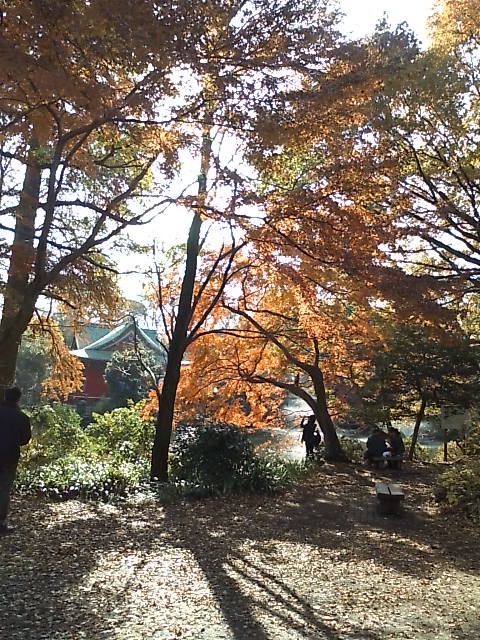 2井の頭.jpg